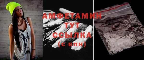 гидра Каменка