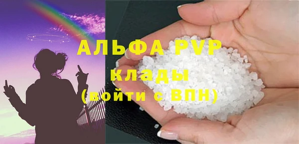 PSILOCYBIN Семёнов