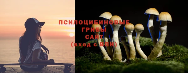 PSILOCYBIN Семёнов