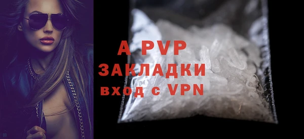 PSILOCYBIN Семёнов
