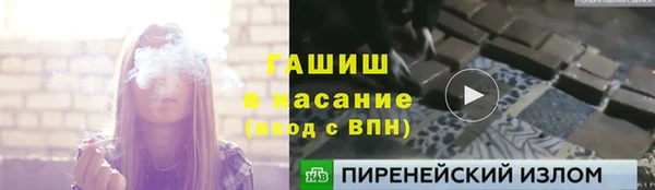 гидра Каменка