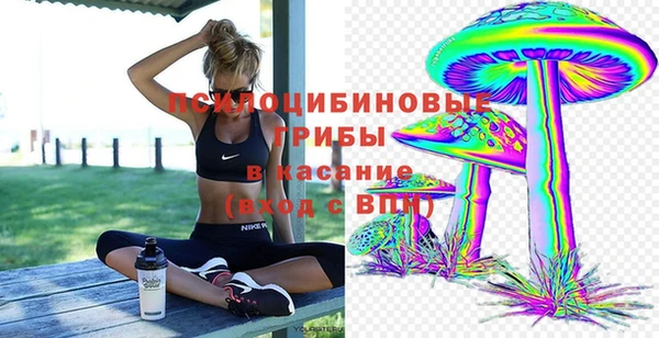 PSILOCYBIN Семёнов