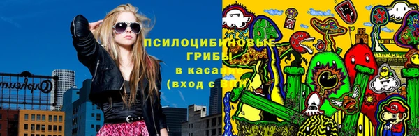 PSILOCYBIN Семёнов