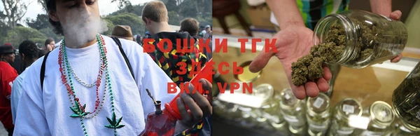 гидра Каменка